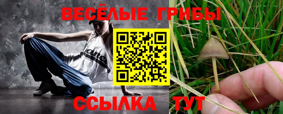Галлюциногенные грибы ЛСД  Вход с VPN  Азнакаево 
