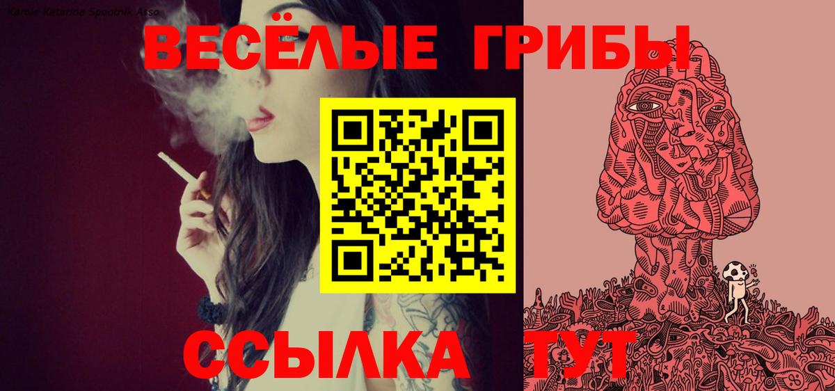 Галлюциногенные грибы MAGIC MUSHROOMS Азнакаево